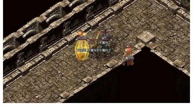 找私服有麻痹戒的之传奇私服怎么给别人刷充值